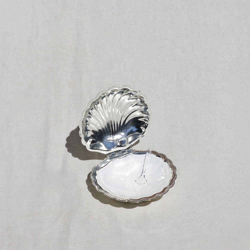 GLASS AND SILVER SHELL